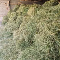 یونجه دست پیج