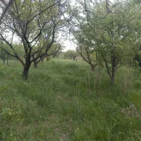 فروش-باغ-الوان
