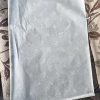کاغذ کف پایی کارواش