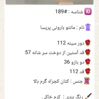 مانتو بارونی پریسا با ارسال رایگان|لباس|بندر کنگان, |دیوار