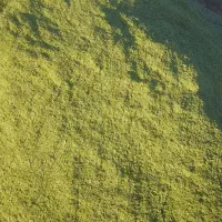 خار بجای یونجه استفاده کن