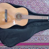 گیتار Hofnet hac204