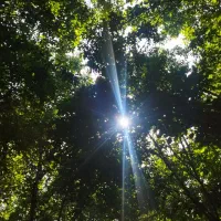 کو.د ارگا.نیک .