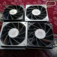 فن ماینر ملاشیه