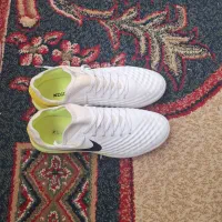 کفش سالنی مجیستا|کیف، کفش، کمربند|دهدشت, |دیوار