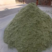 شنبلیله تازه خوش عطر