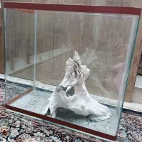 اکواریوم شیشه خم|ماهی|فردیس, فردیس|دیوار