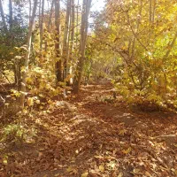 راهنمایی میخام در مورد سفر یکروزه