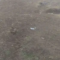 زمین مسکونی برای ساخت خانه