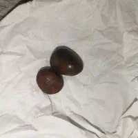 سنگ قدیمی|جواهرات|سوسنگرد, |دیوار