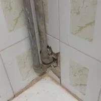 تعمیرات نشتی آب|خدمات پیشه و مهارت|یزد, |دیوار