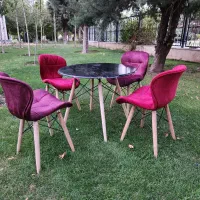 میز و صندلی طبی|میز و صندلی غذاخوری|کرج, کوی گلها|دیوار