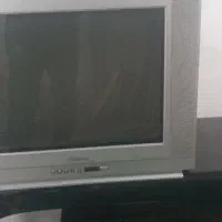 تلویزیون|تلویزیون و پروژکتور|بندر گناوه, |دیوار