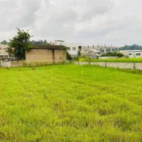 فروش زمین مسکونی ۵۰۰ متری|فروش زمین و ملک کلنگی|نکا, |دیوار