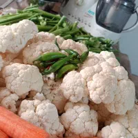 ترش و شیطون|خوردنی و آشامیدنی|تهران, دولاب|دیوار