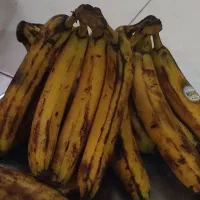 حراج موز پسته انبه انگور سیب هلو شلیل هویج