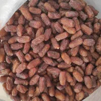 فروش خرمای پیارم|خوردنی و آشامیدنی|یزد, |دیوار
