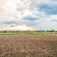 فروش-زمین-کشاورزی