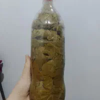 رب گوجه 140 ، برگ مو 120