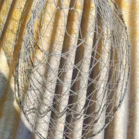 تور.    ماهی.      قلبور.    ماهیگیری