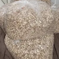 پسته اکبری دستچین