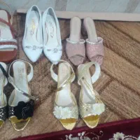 کفش مجلسی واسپرت|کیف، کفش، کمربند|تربت جام, رضاآباد|دیوار