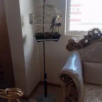 قفس پایه دار