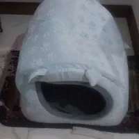 خونه و باکس حمل گربه