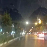 کارپت