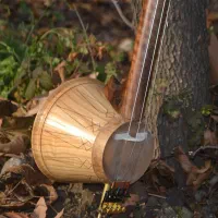 کمانچه لری کاسه گلدونی