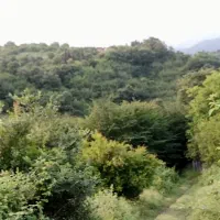 بدنبال کار نگهبانی از ساختمان هستم