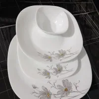 آرکوپال|ظروف سرو و پذیرایی|رباطکریم, نصیرشهر|دیوار