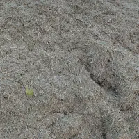 کاه لوبیا قرمز