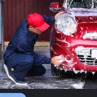 همکار کارواش با نهار روزی ۵۰۰ به بالا