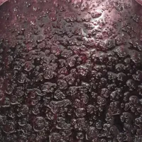 فروش مربای تمشک جنگلی درجه ۱.