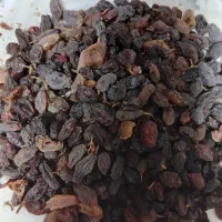 کشمش آفتابی