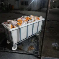 قطعه بندی مرغ