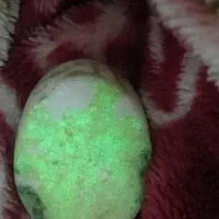 یک قطعه گوهر شب چراغ زیبا و طبیعی