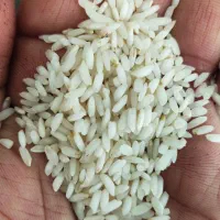 فروش برنج عنبر درجه یک