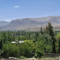 باغشهری-زیتون-گویم-با-در-و-دیوار-و-درخت-و-مخزن-آب