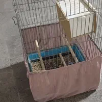 قفس پرنده سایز بزرگ