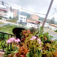 دوواحد-100متری-ویوجنگل-تکواحدی-نیرنگ