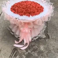 ۵۰ شاخه تور برفی دور پیج دوبل