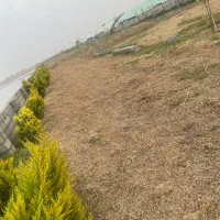 زمین-240متری-سرخرود-سنددار-اقساطی