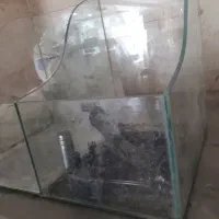 استندآجیل وشکلات