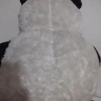 خرس و پاندا یک متر