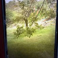 باغ‌وزمین در روستای دلفارد جیرفت