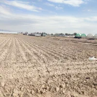 ۳۰۵۰مترزمین کشاورزی همراه۱ساعت آب موتوربفروش میرسد