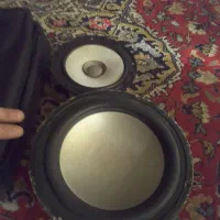 باند ۱۰ اینچ