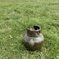 پیک نیک سالم